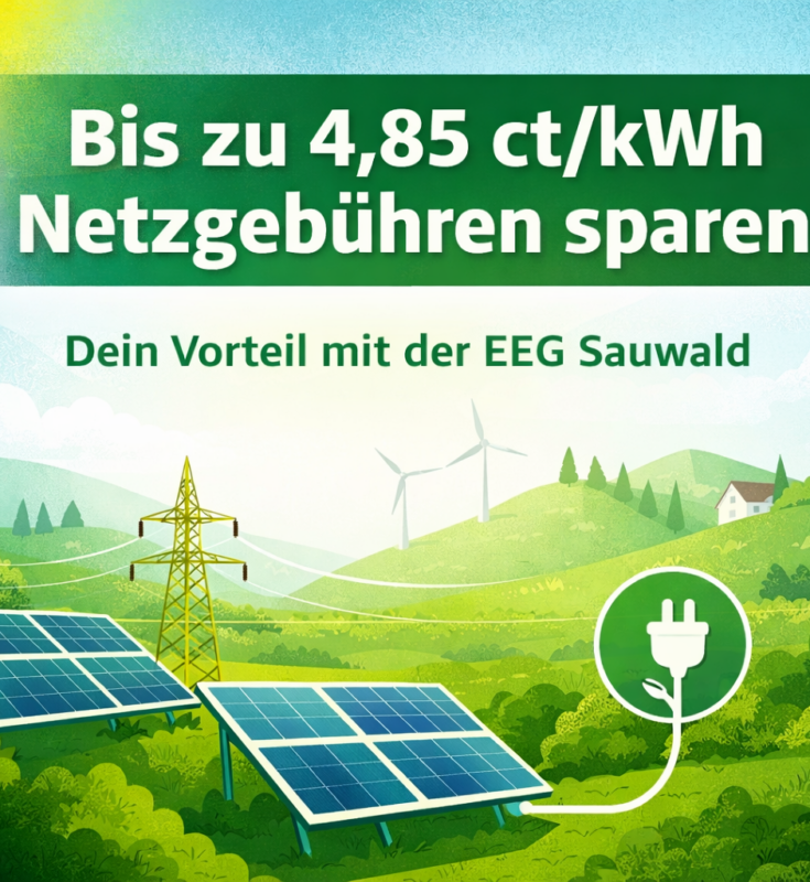 Deine Einsparung bei den Netzgebühren