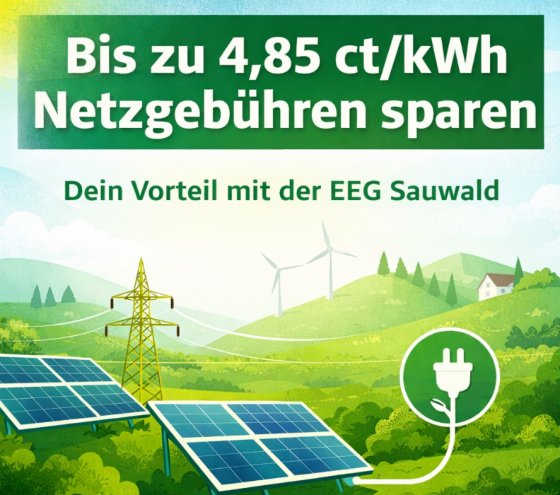 Deine Einsparung bei den Netzgebühren